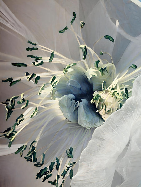 A Peony For Your Thoughts - 3 Versions