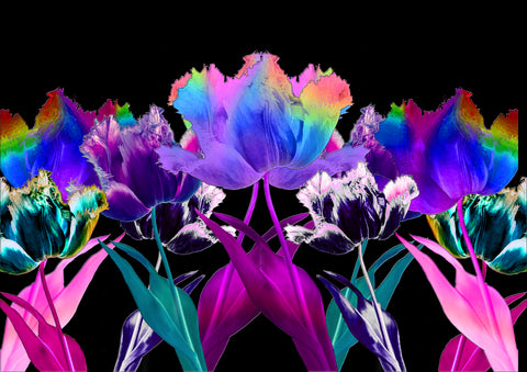 Five in Formation - Technicolor