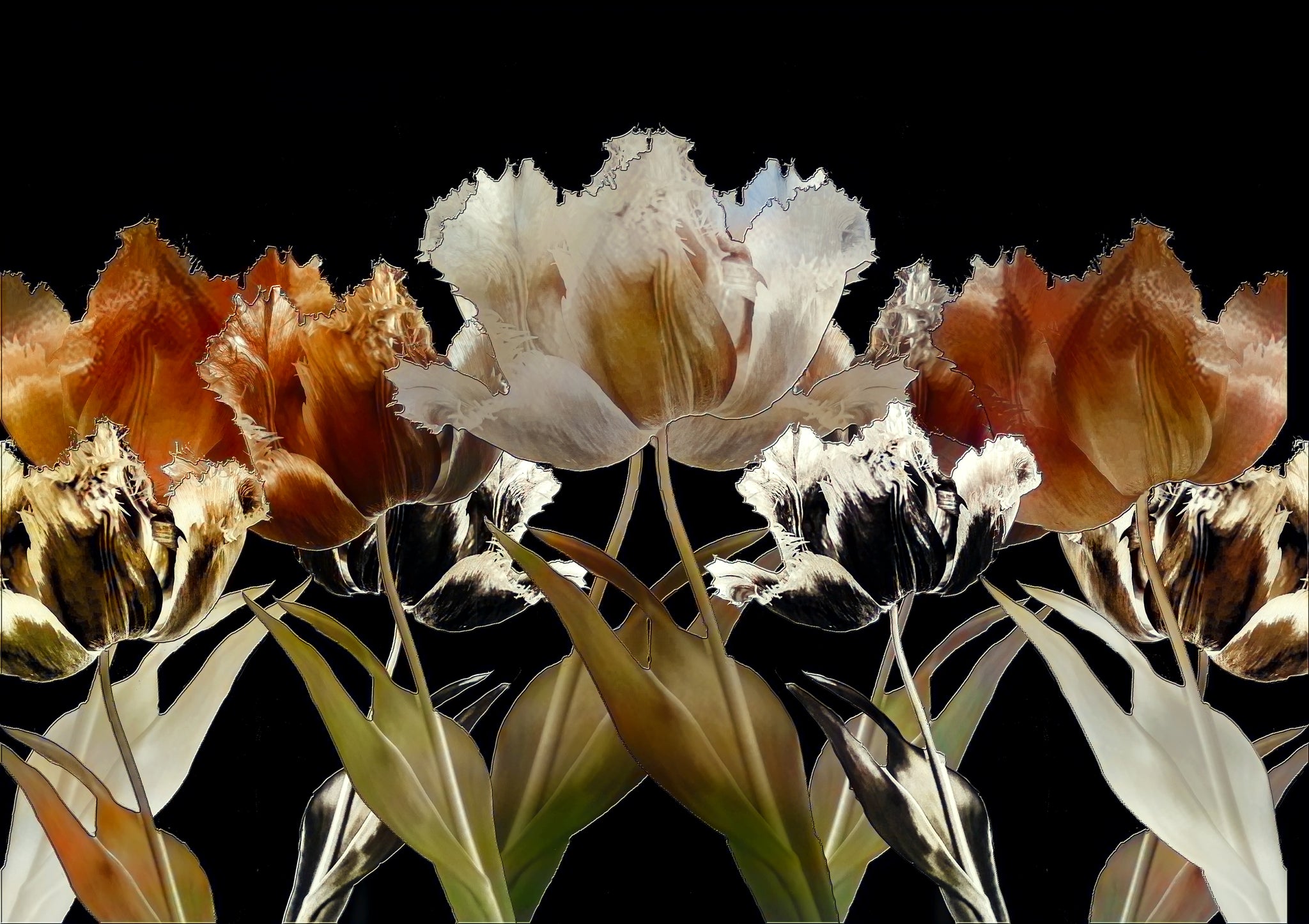 Five in Formation - Burnt Umber