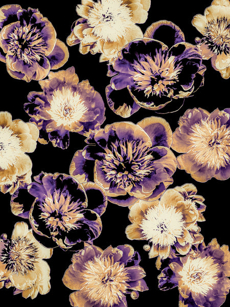 Beach Peony Photomontage - 5 Versions