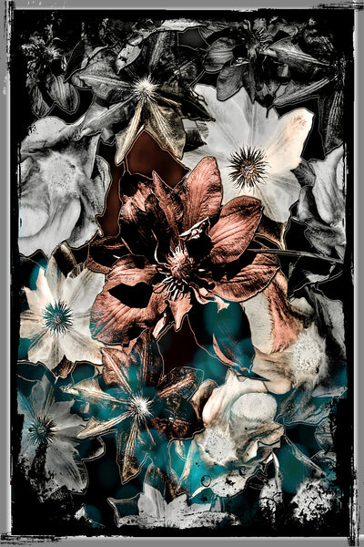 Clematis Photomontage- 5 Versions