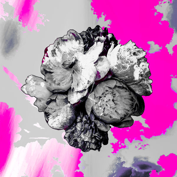 Not a Painting Peonies
