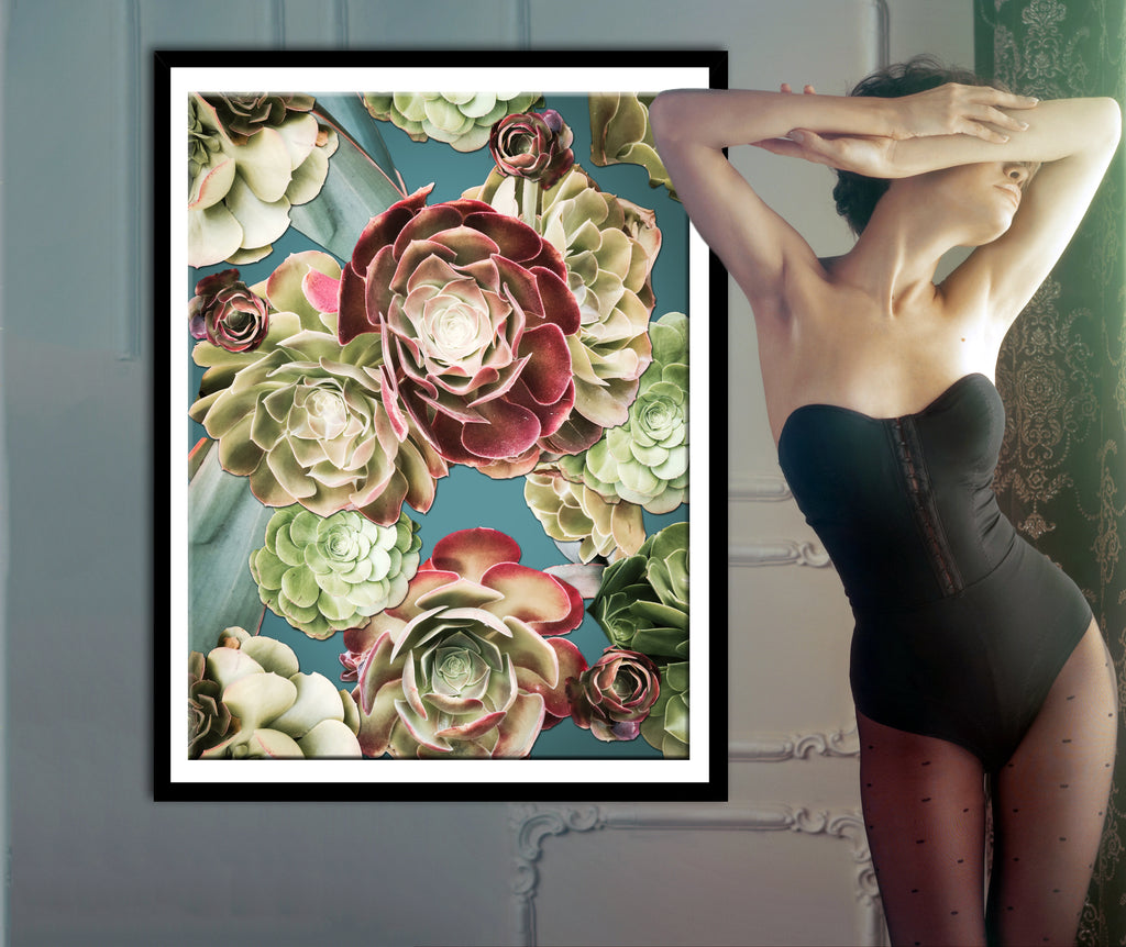 succulents santa monica Santa Monica Succulents Photomontage- 4 Versions – Joanie Landau Designs