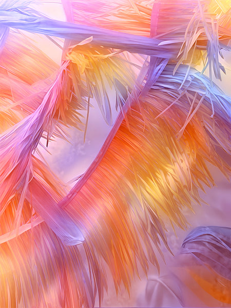 "Palapa Light" Pastel Composites No. 1 + No. 2 in Creamsicle