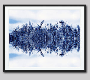Blowing in the Wind - Sapphire