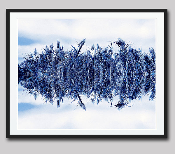 Blowing in the Wind - Sapphire