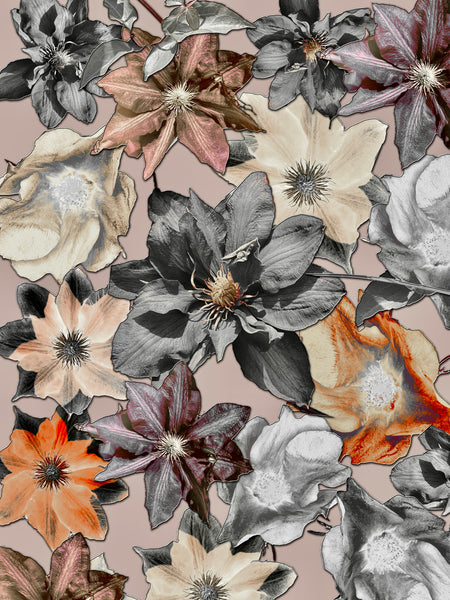 Clematis Photomontage- 3 Versions