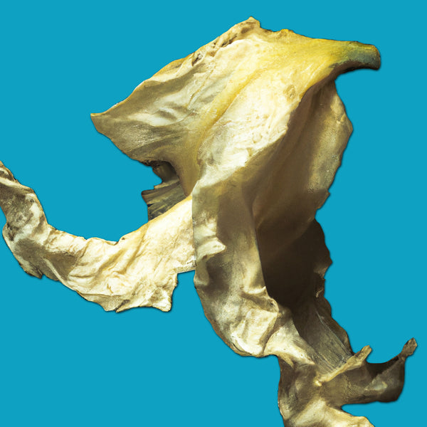 Faded Yellow Petal - 3 Versions