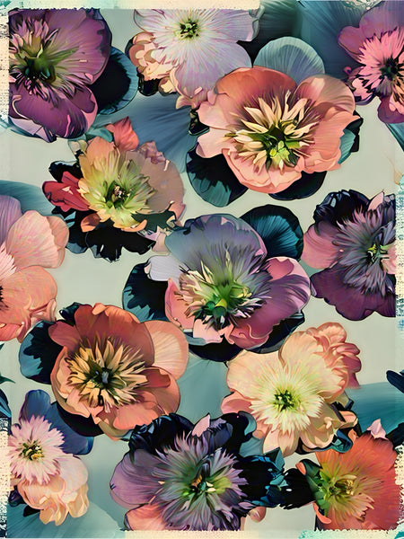 Beach Peony Photomontage - 5 Versions