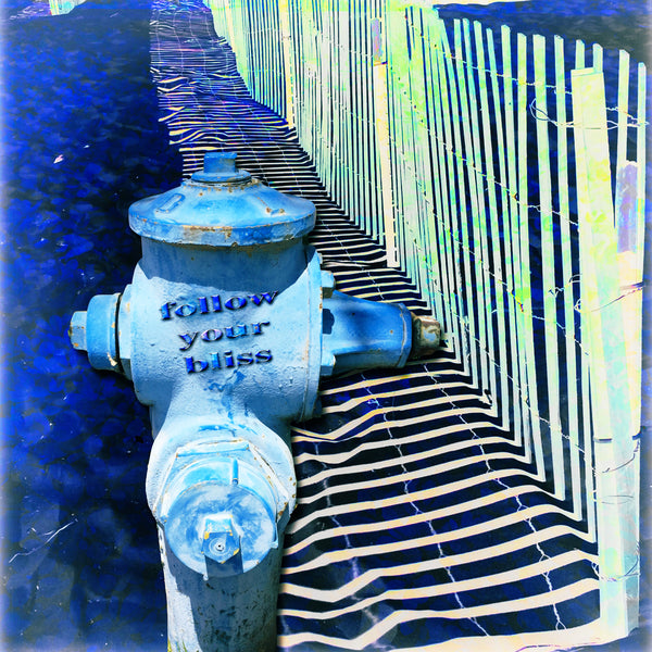 Fire Hydrant Affirmations - 3 Versions