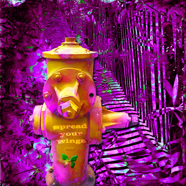 Fire Hydrant Affirmations - 3 Versions