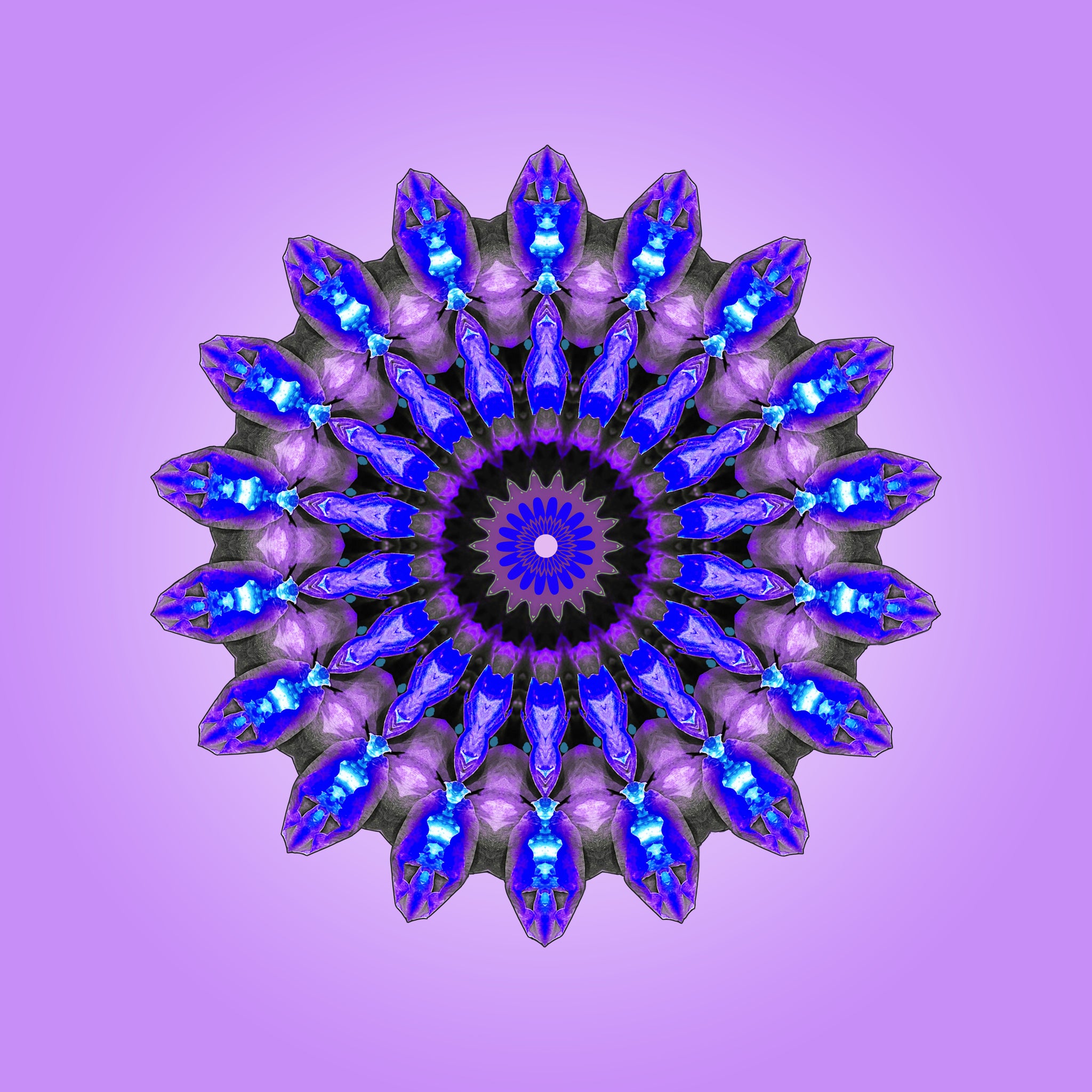 Violetta Mandalas 1-2-3