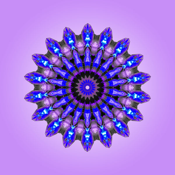 Violetta Mandalas 1-2-3