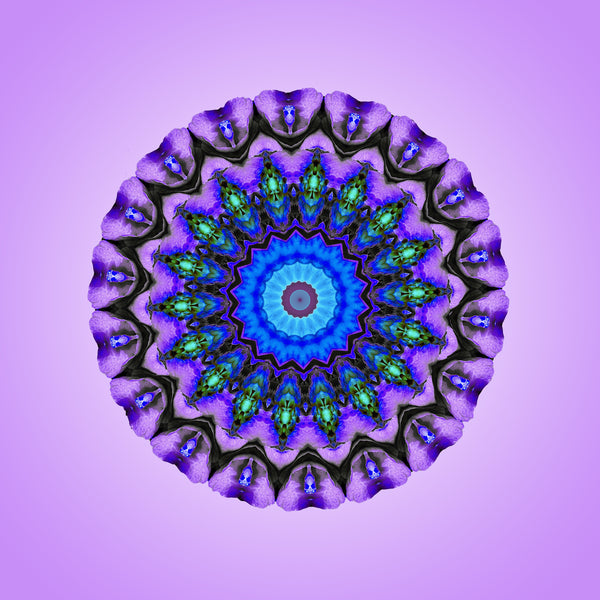 Violetta Mandalas 1-2-3