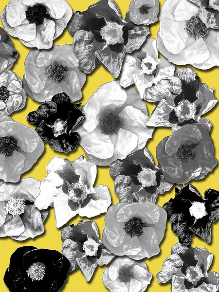 D's Beach Roses Photomontage REMIX- 3 Versions