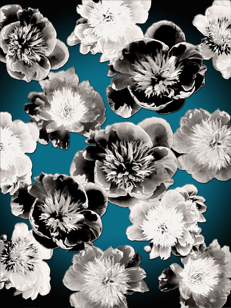 FB's Peony Photomontage REMIX - 2 Versions