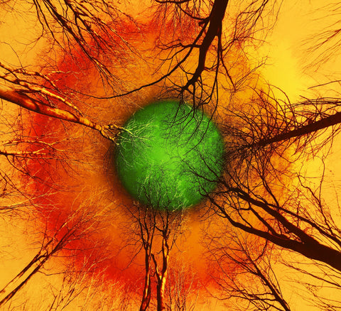 From Where I Lie Study Orange -60% off