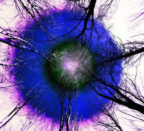 From Where I Lie Study Purple & Pink - 60% off