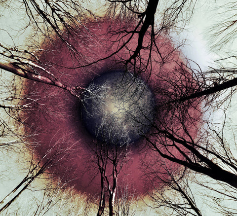 From Where I Lie Study Caramel - 60% off