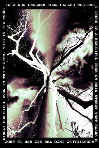 Tree on Main Solo: Plexi =- 60% off