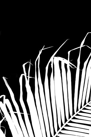 View From My Chaise Lounge No. 2