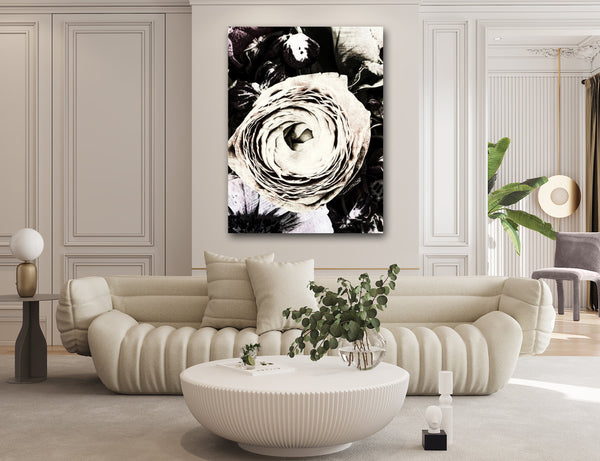 Miraculous Ranunculus