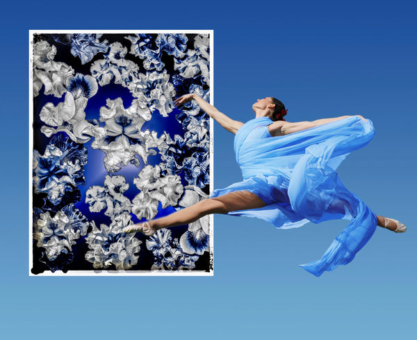 FB's Irises Photomontage Blue Story - 5 Versions