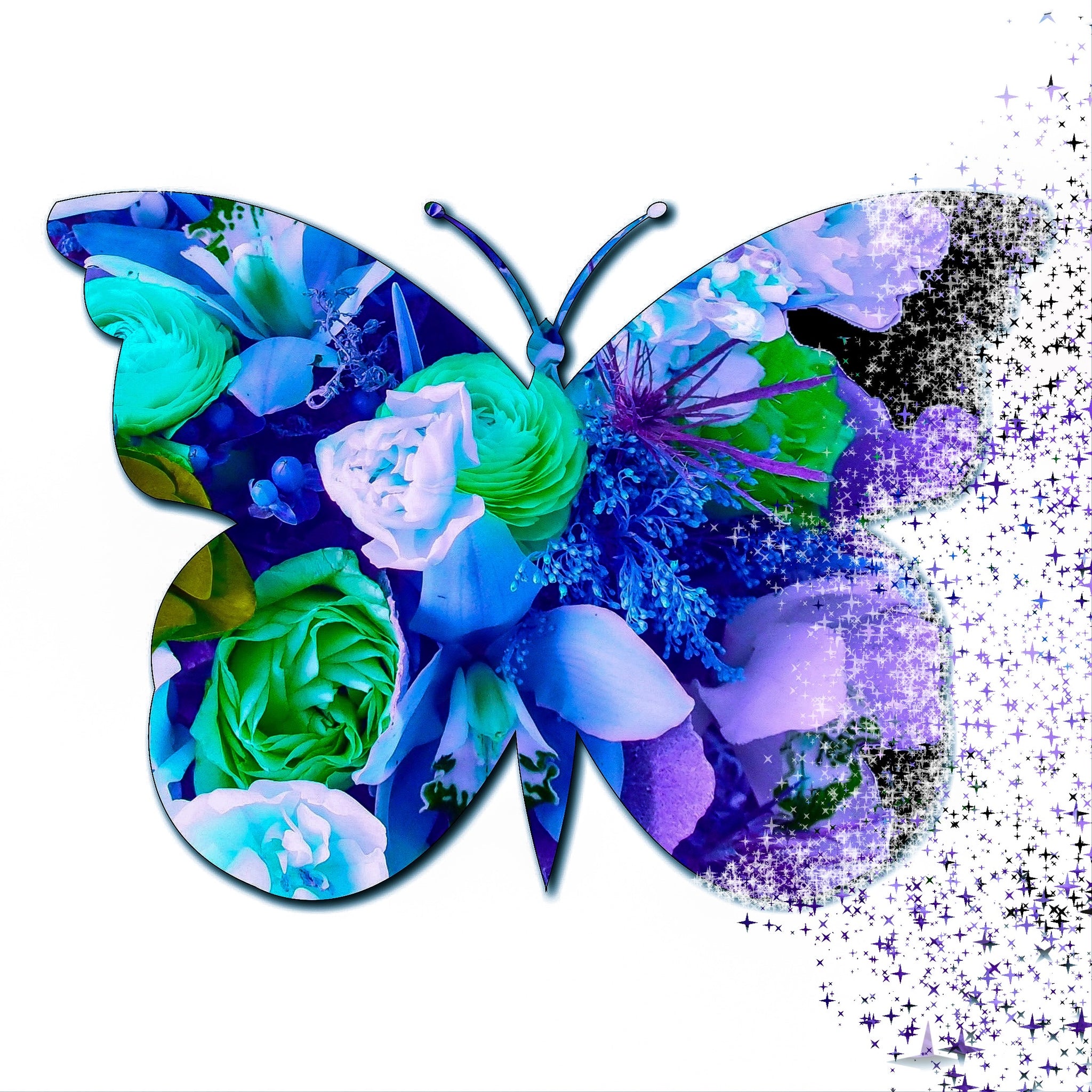Bouquets x Butterflies Dispersion Framed - 2 Versions