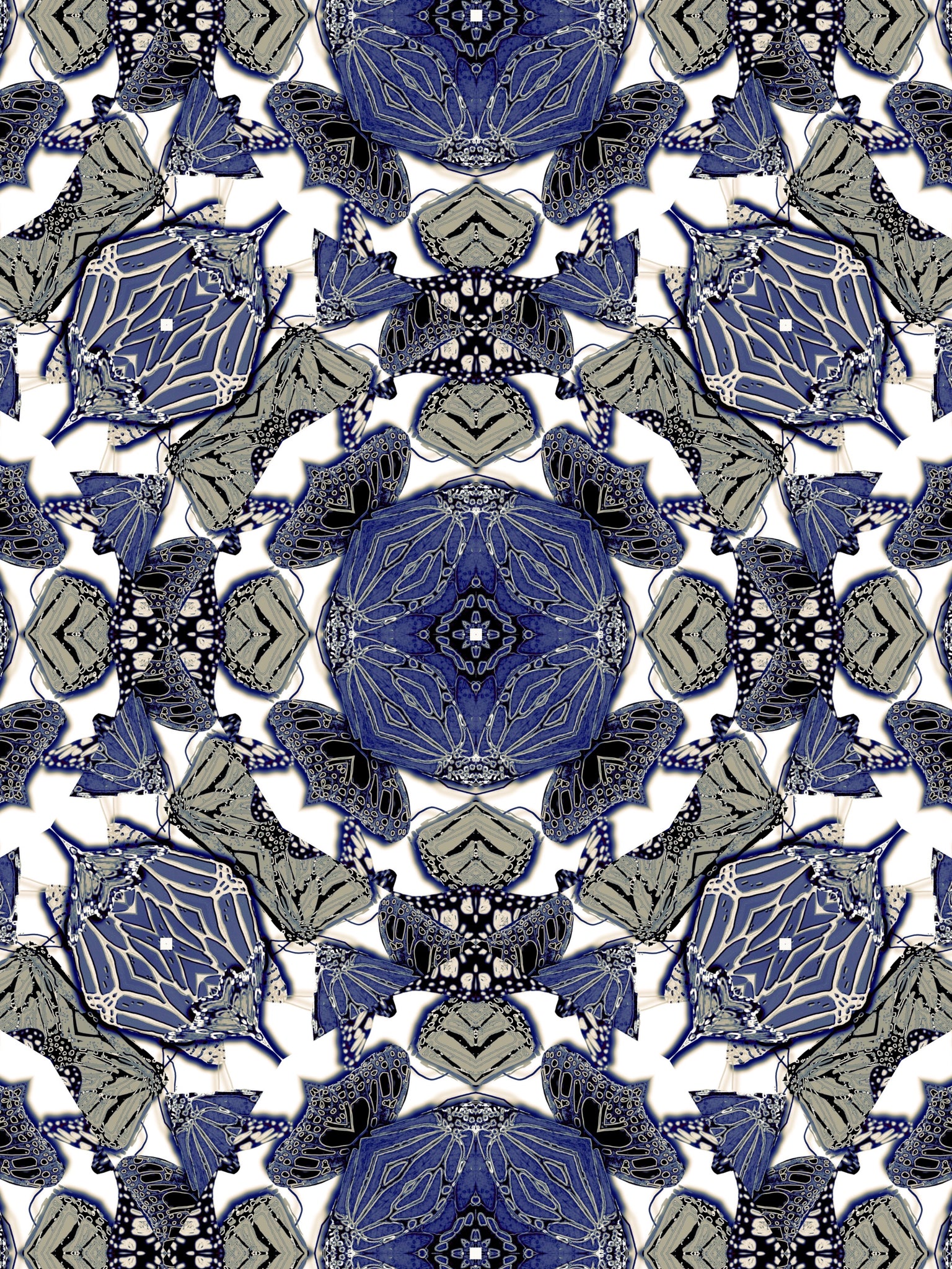 The Monarchy Blue, Versions 1-2-3-4