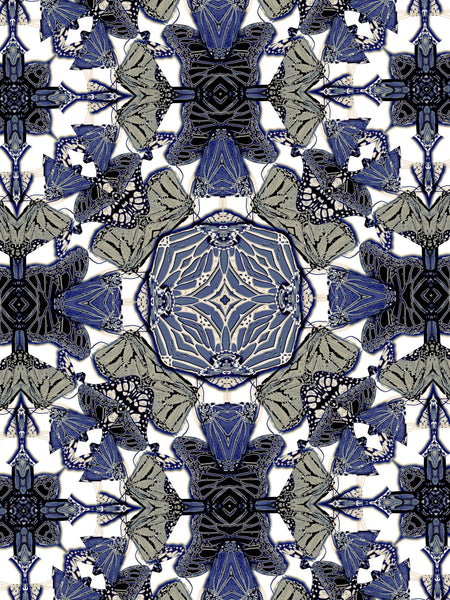 The Monarchy Blue, Versions 1-2-3-4