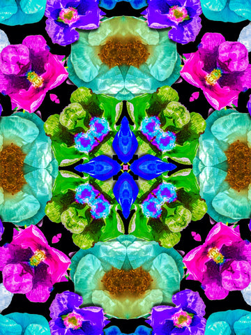 The Monarchy Multi Kaleidoscope 1-2-3