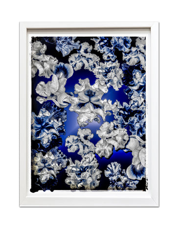 FB's Irises Photomontage Blue Story, Version 6: Framed