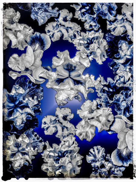 FB's Irises Photomontage Blue Story, Version 6: Framed