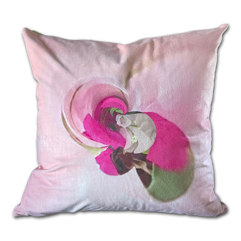 Forget Me Not - JLD66