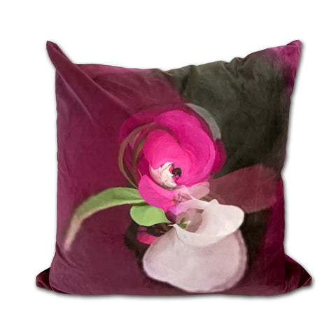 Ruby Tuesday - JLD67