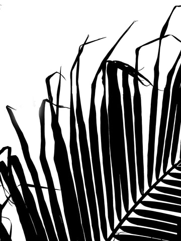 View From My Chaise Lounge No. 1