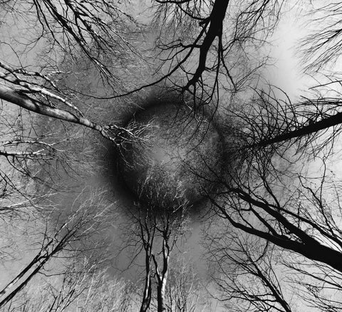 From Where I Lie No. 8 - Soft Black and White - 60% off